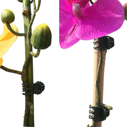 20 Pcs Large and 50 Pcs Small Daisy Orchids Clips Garden Tomato Trellis Clips to Keep Plant Neat and Healthy, Green