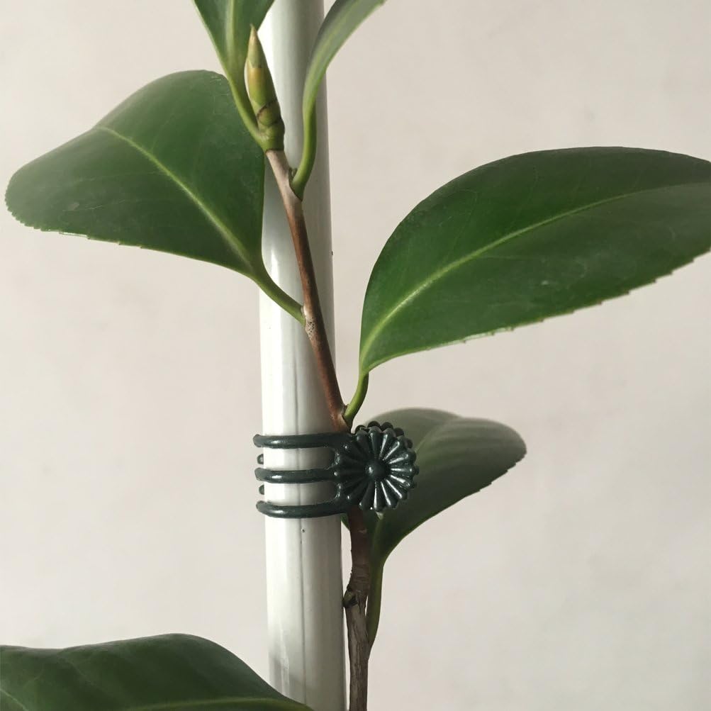 20 Pcs Large and 50 Pcs Small Daisy Orchids Clips Garden Tomato Trellis Clips to Keep Plant Neat and Healthy, Green