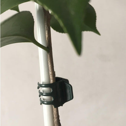 20 Pcs Large and 50 Pcs Small Daisy Orchids Clips Garden Tomato Trellis Clips to Keep Plant Neat and Healthy, Green