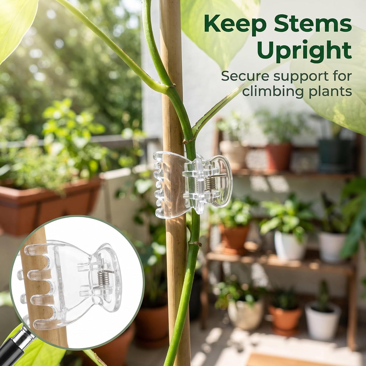 50Pcs Transparent Plant Orchid Clips,Flowers Fixer for Garden Vine Stem Plants Climbing Clasp for Support,Orchid Clips for Plants Support Garden Stakes