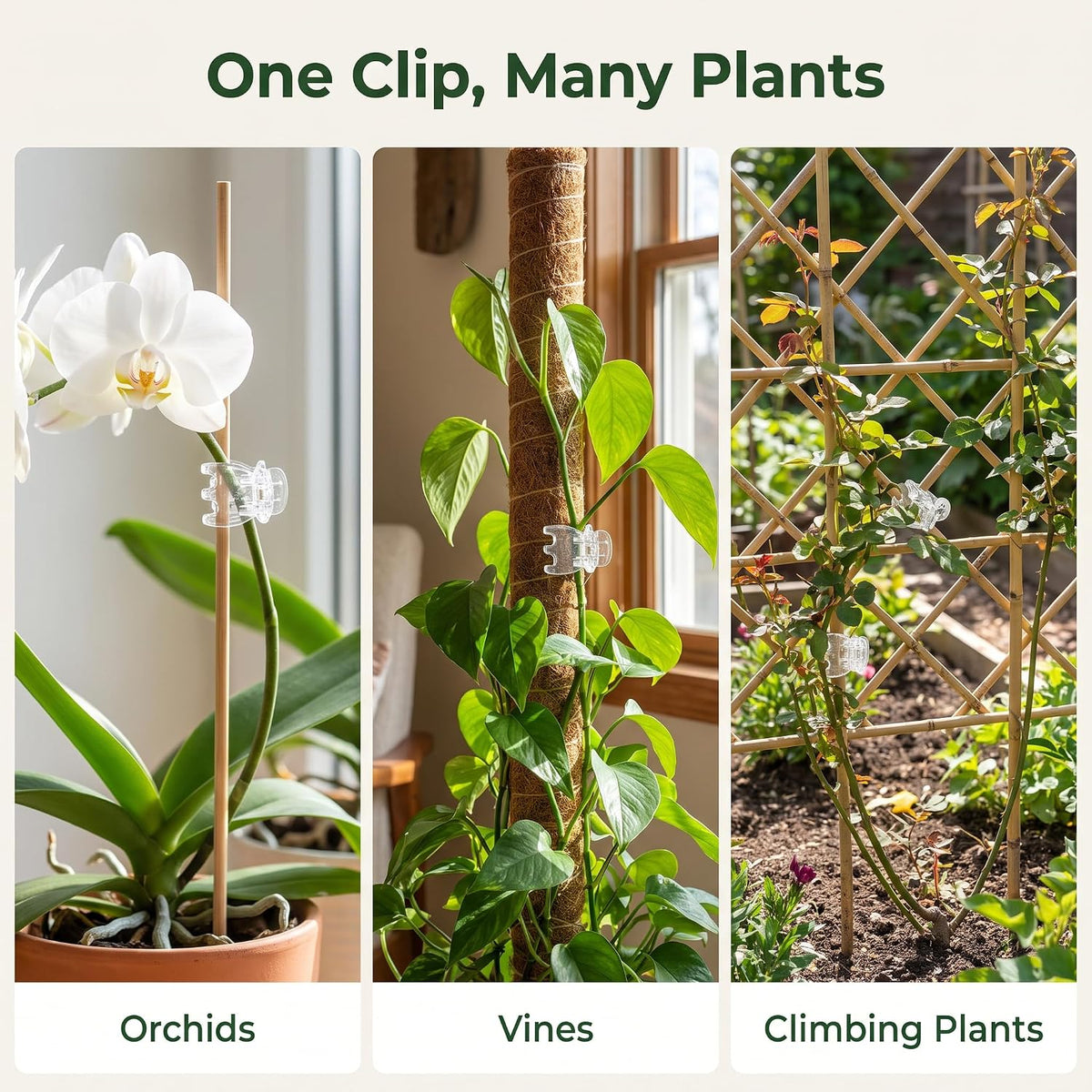 50Pcs Transparent Plant Orchid Clips,Flowers Fixer for Garden Vine Stem Plants Climbing Clasp for Support,Orchid Clips for Plants Support Garden Stakes