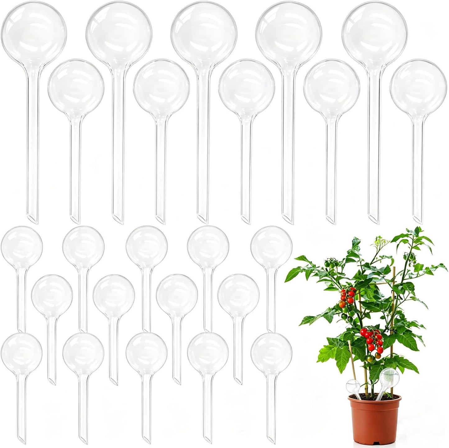 Pynqdfu 12 Pcs Large Plastic Self-Watering Bulbs,Clear Automatic Watering Globes,Clear Automatic Watering Bulbs for Plants,Graden,Flowers