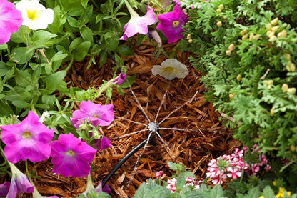 POTTEDKIT Drip Irrigation Kit, Full Circle, 1/4"
