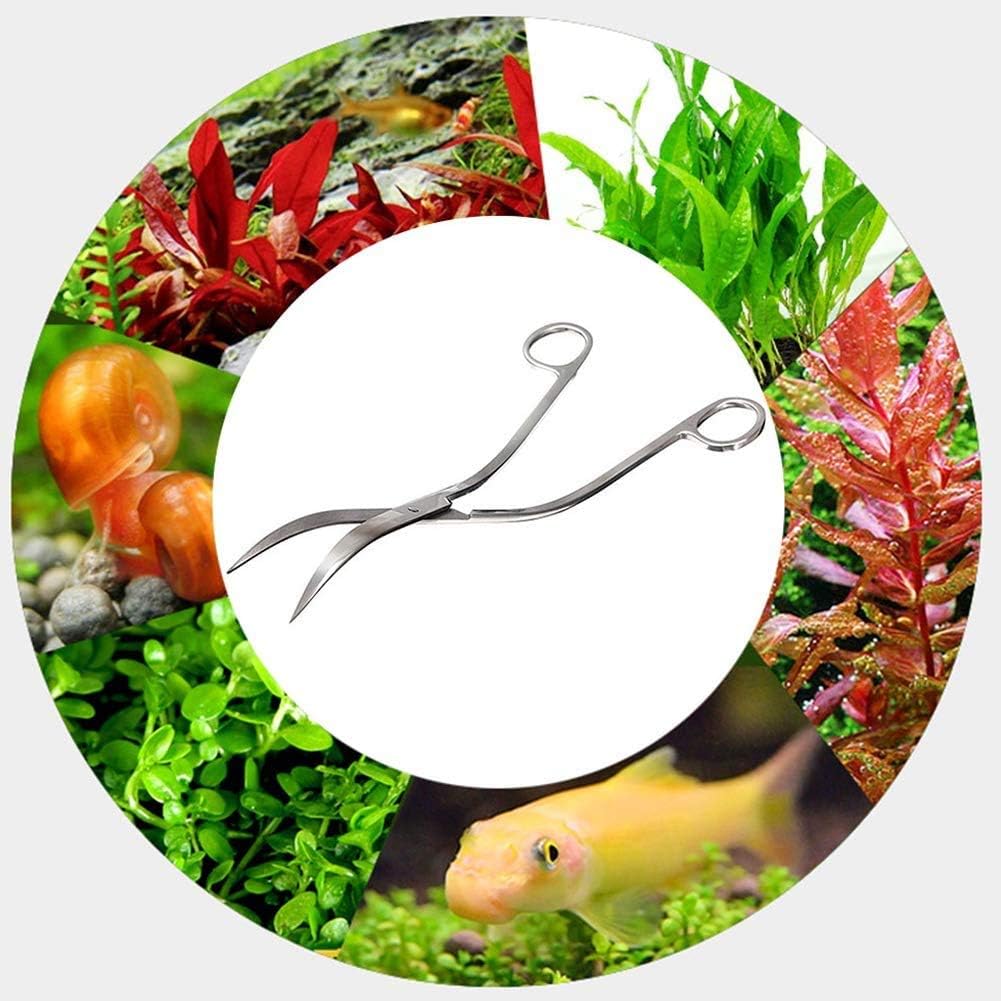 Aquarium Scissors Stainless Steel Mirror Wave Scissors