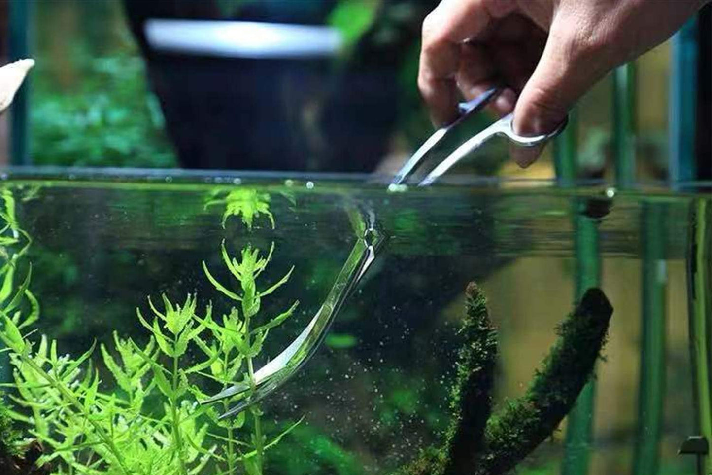 Aquarium Scissors Stainless Steel Mirror Wave Scissors