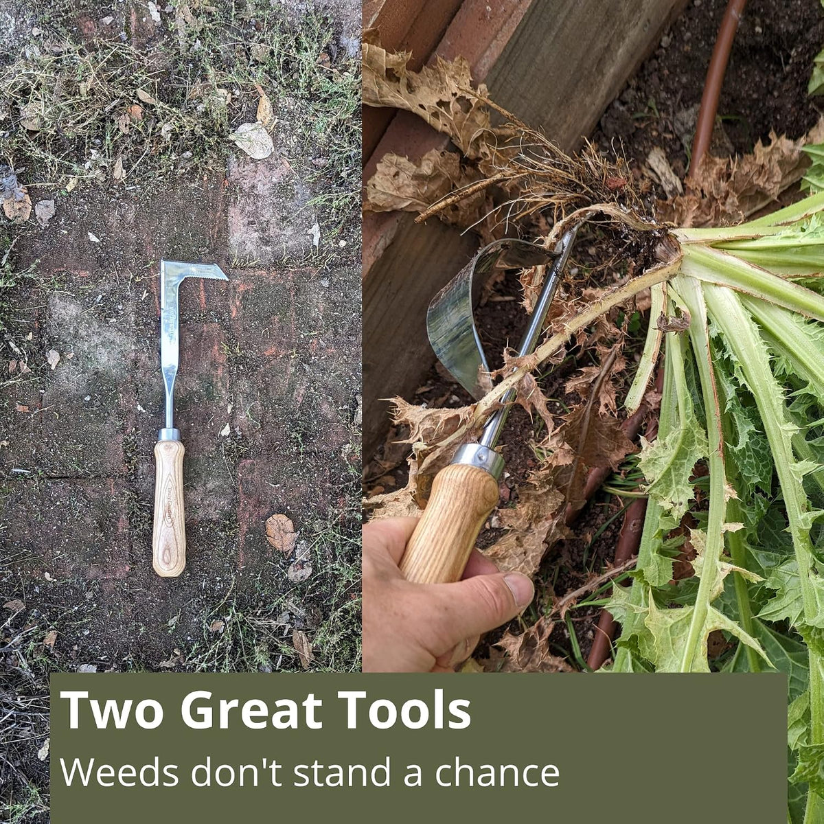 Weed Puller and Patio Paver Weeding Tool Set - Two Classic, Heavy Duty, Stainless Steel Weeding Tools with Beautiful Wooden Handles