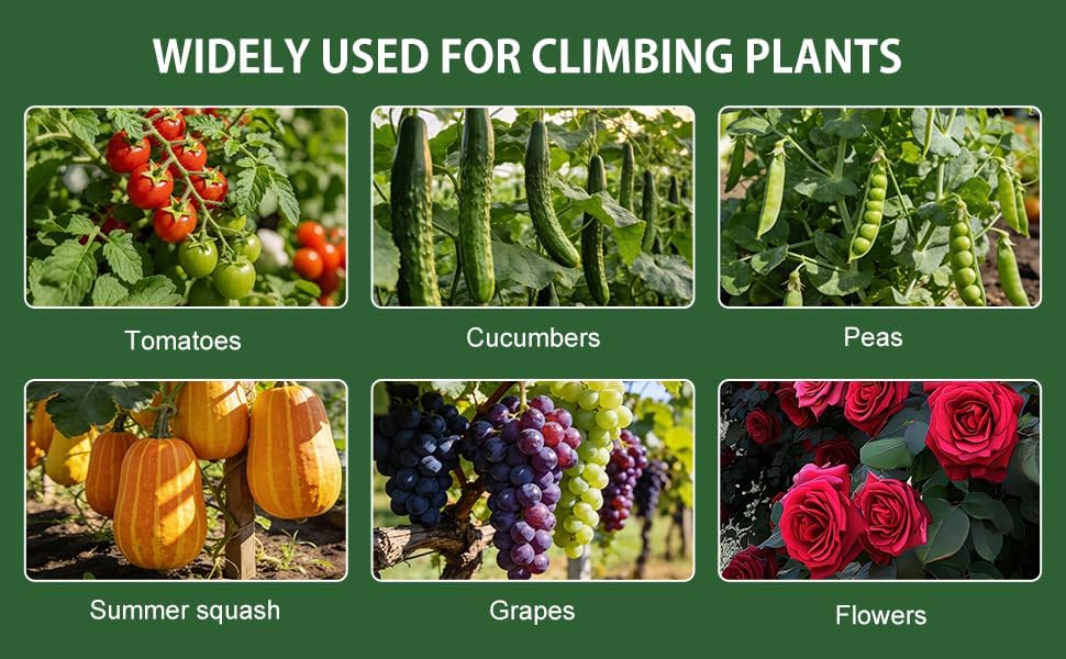 U-Shape Cucumber Trellis for Raised Beds - 47.2”x47.2”x21.6” Green Metal Arch Trellis, Rust-Resistant Garden Plant Support for Climbing Vegetables, Vines, Flowers - Heavy Duty & Easy to Assemble