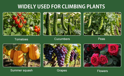 U-Shape Cucumber Trellis for Raised Beds - 47.2”x47.2”x21.6” Green Metal Arch Trellis, Rust-Resistant Garden Plant Support for Climbing Vegetables, Vines, Flowers - Heavy Duty & Easy to Assemble