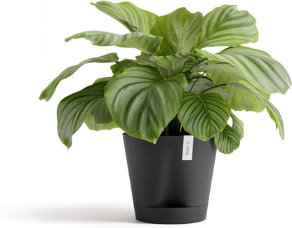 Venice 2 Round Flower Planter with Water Reservoir, White Grey, 8"