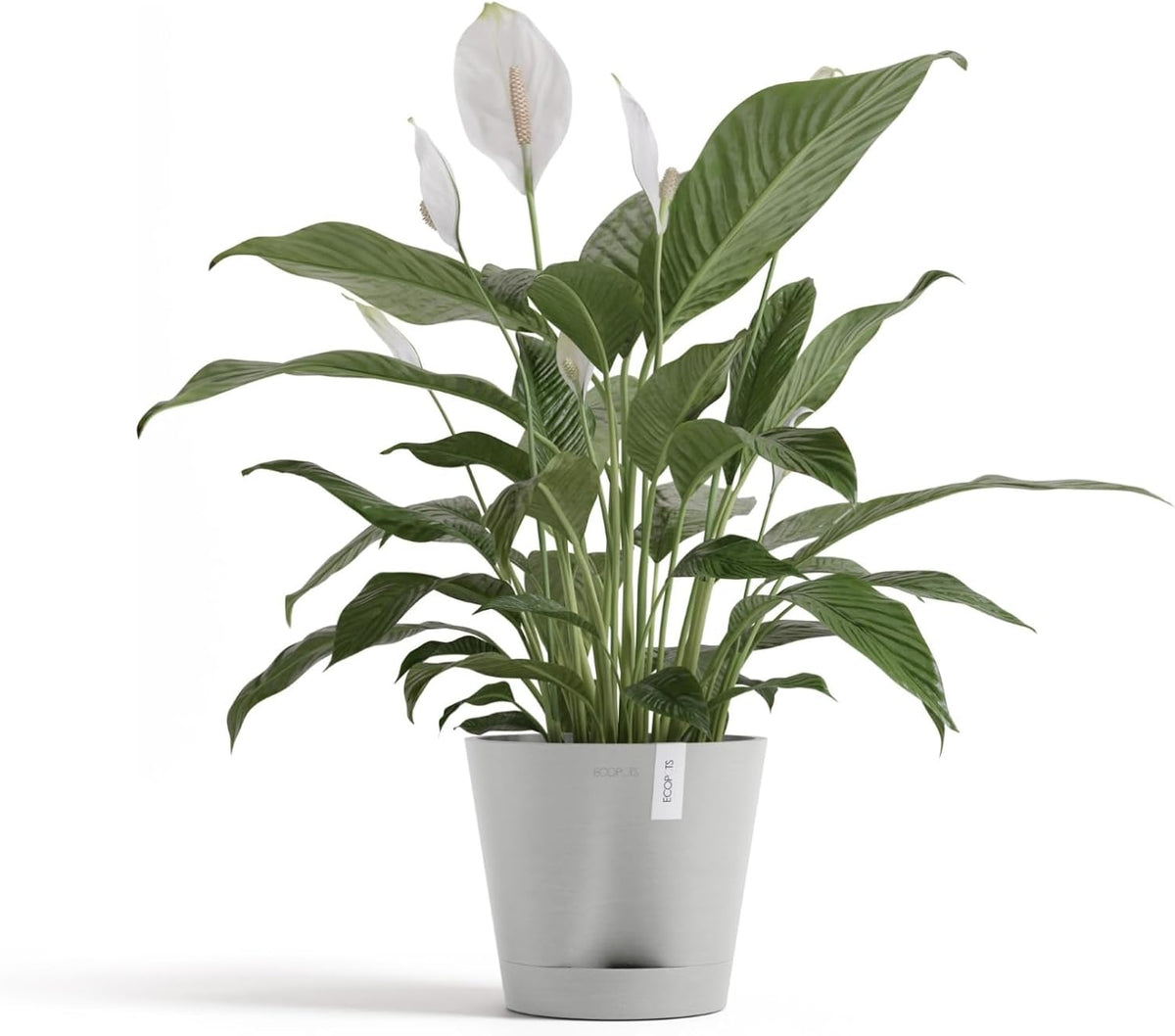 Venice 2 Round Flower Planter with Water Reservoir, White Grey, 8"