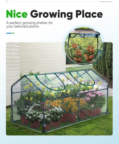 Mini Greenhouse for Indoor Outdoor, Portable Quick-Setup Tabletop