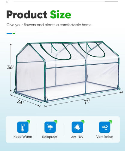 Mini Greenhouse for Indoor Outdoor, Portable Quick-Setup Tabletop
