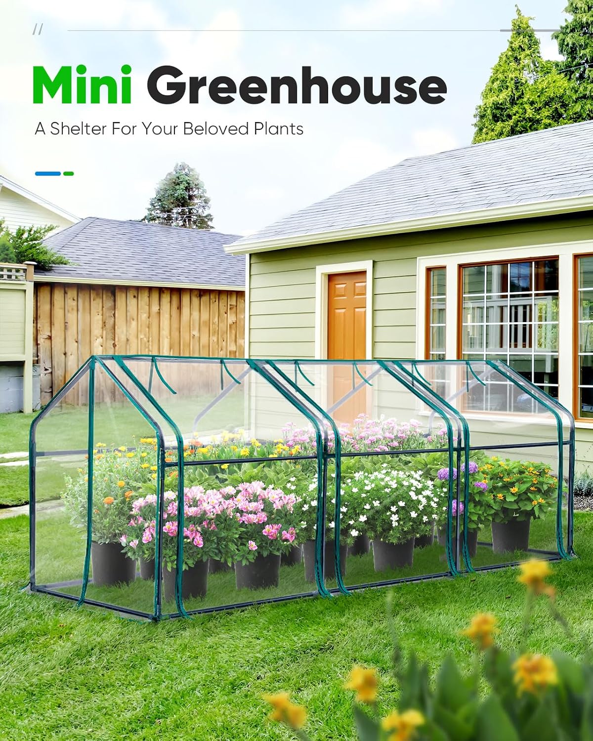 Mini Greenhouse for Indoor Outdoor, Portable Quick-Setup Tabletop