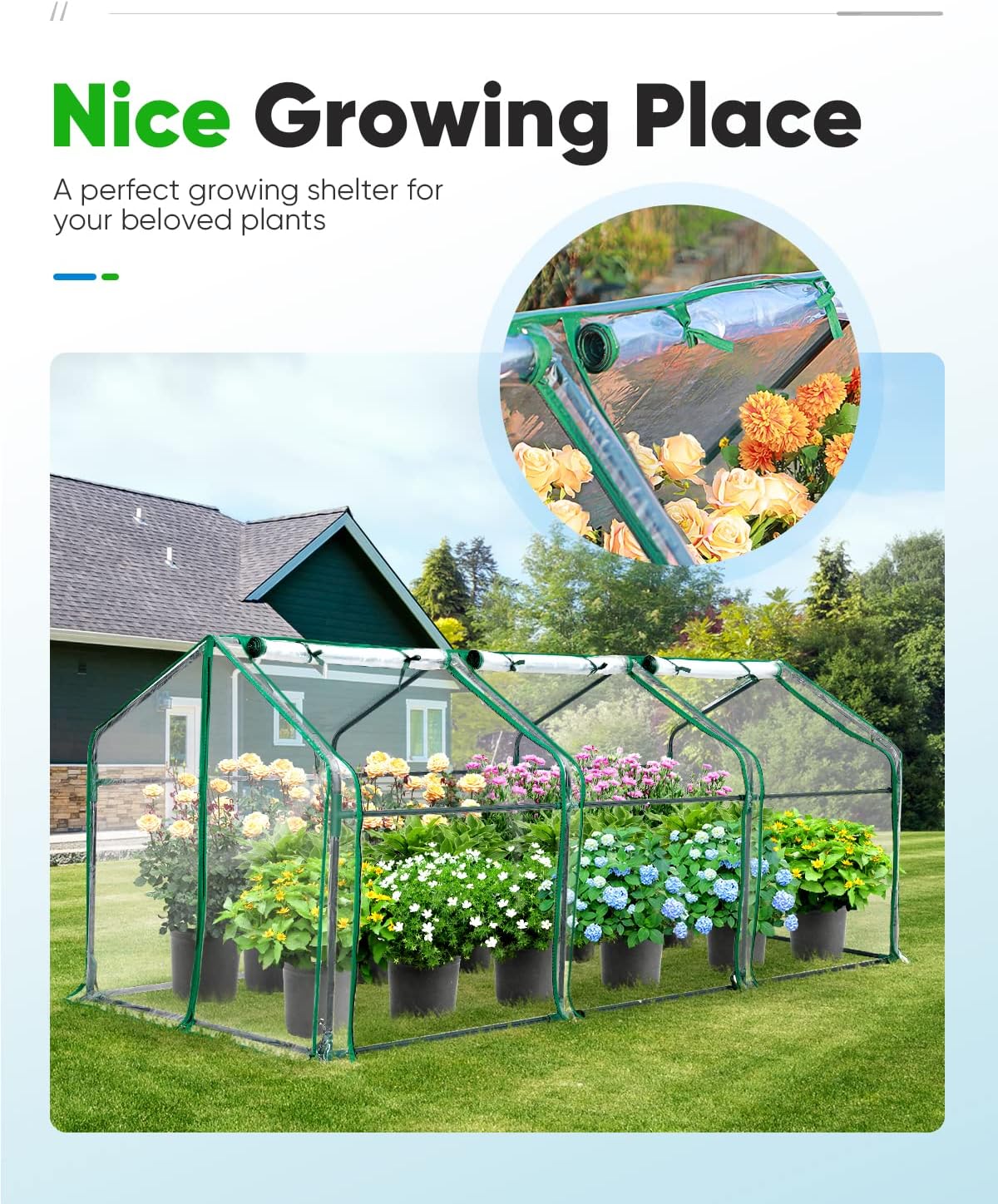 Mini Greenhouse for Indoor Outdoor, Portable Quick-Setup Tabletop