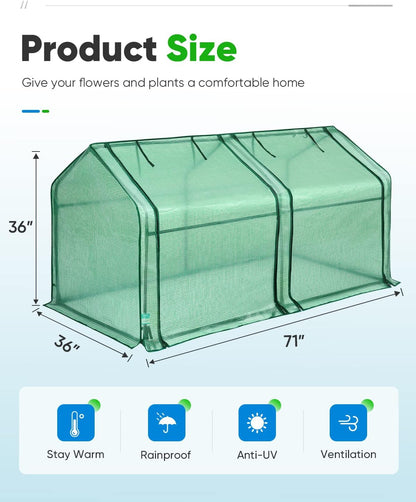 Mini Greenhouse for Indoor Outdoor, Portable Quick-Setup Tabletop
