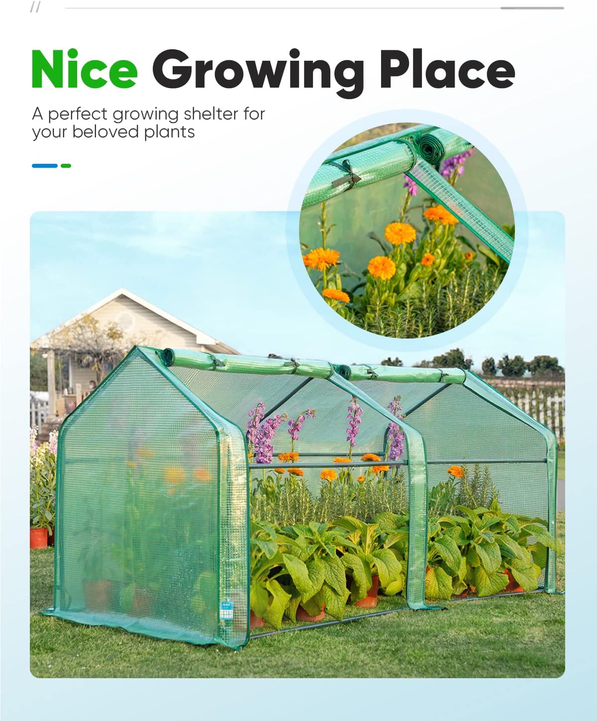 Mini Greenhouse for Indoor Outdoor, Portable Quick-Setup Tabletop
