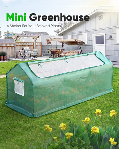 Mini Greenhouse for Indoor Outdoor, Portable Quick-Setup Tabletop