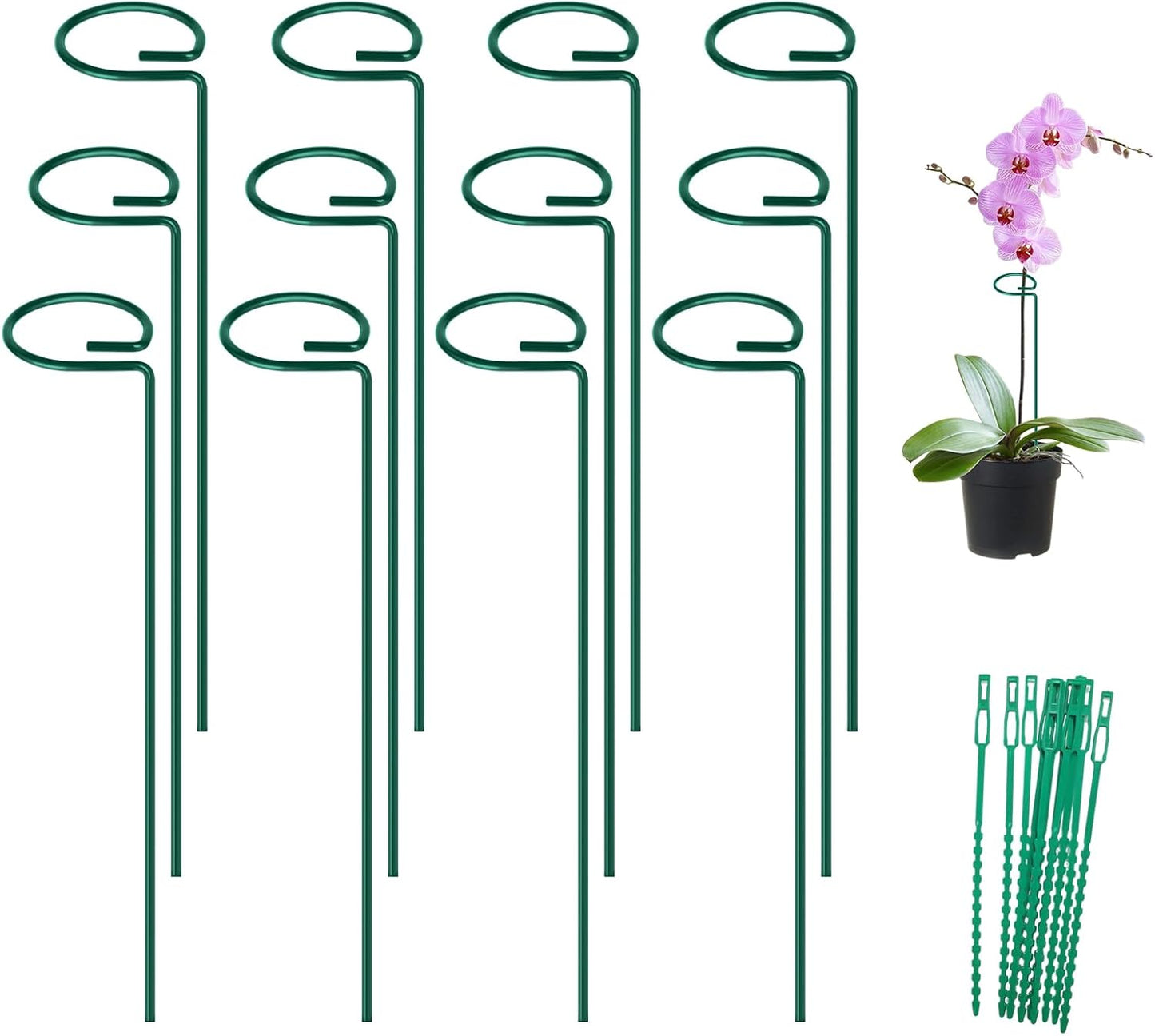 16 Inch 12 Pack Plant Support Stakes, Metal Garden Flower Stakes and Supports for Outdoor Plants, Plant Stem Support with 24 Twist Ties for Amaryllis Lily Rose Peony Tomatoes Gladiolus