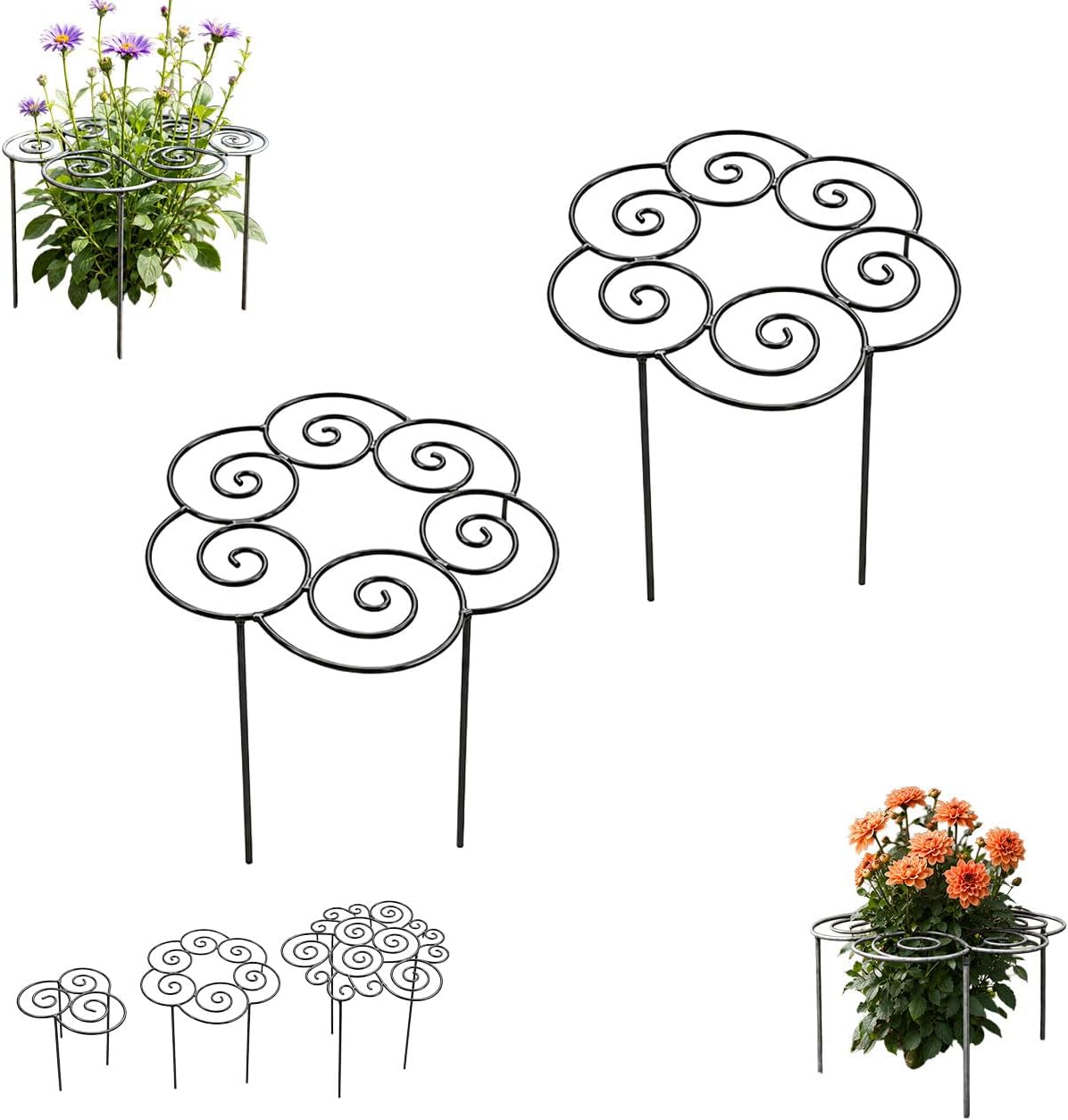 2026 Metal Plant Support Ring,Extra Large Peony Supports for Outdoor Plants,Perfect for Peonies Cages,Hydrangea Support Flower Cages,Grow-Through Plant Supports,A Garden Must-Have (2pcs*Medium)
