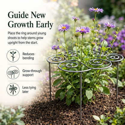 2026 Metal Plant Support Ring,Extra Large Peony Supports for Outdoor Plants,Perfect for Peonies Cages,Hydrangea Support Flower Cages,Grow-Through Plant Supports,A Garden Must-Have (2pcs*Medium)