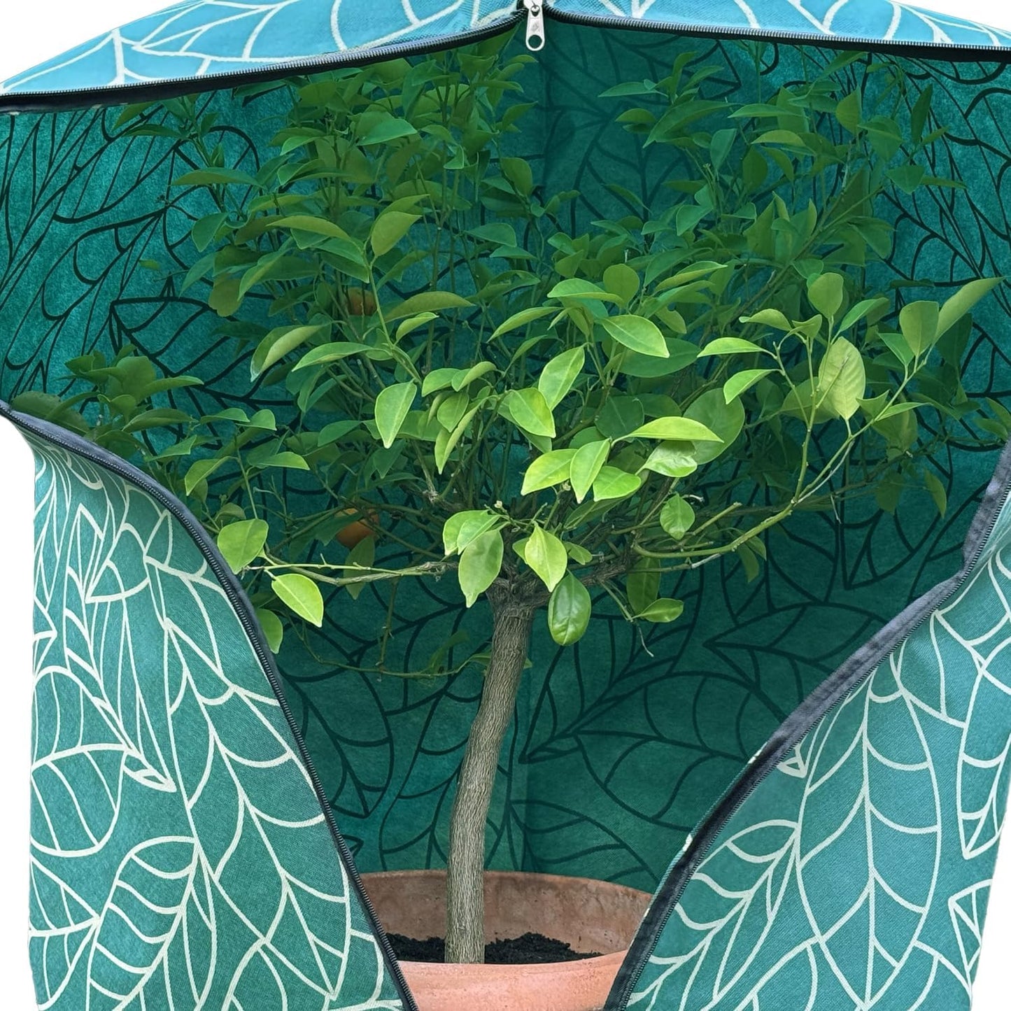 Plant Covers Freeze Protection 47"x71" | 2-Pack Winter Frost Blankets