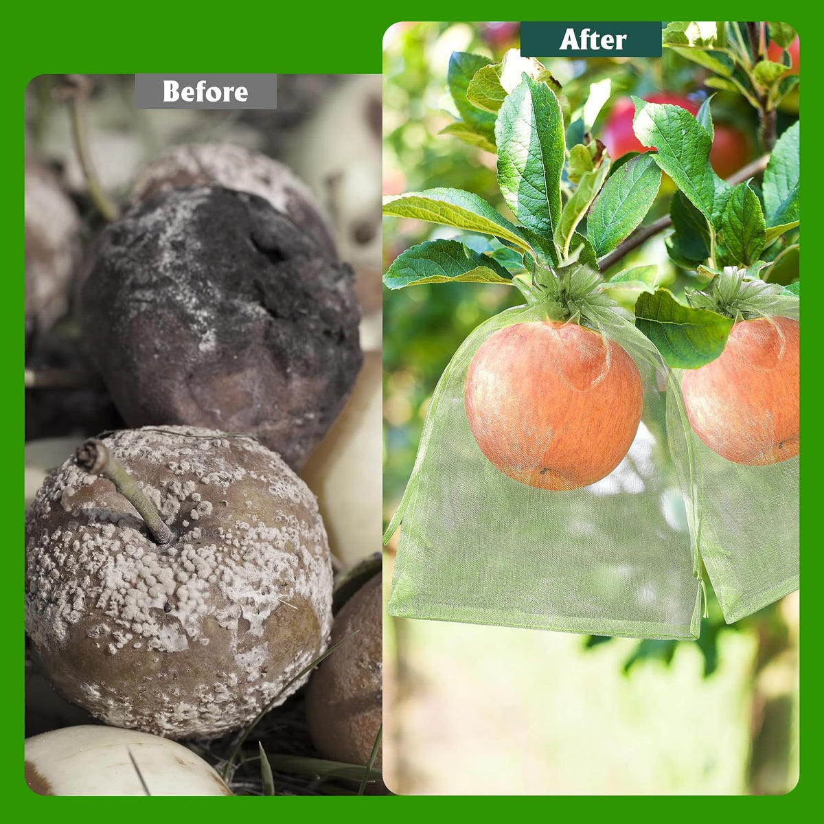 70PCS Fruit Protection Bags 6x8 Inch Green Netting