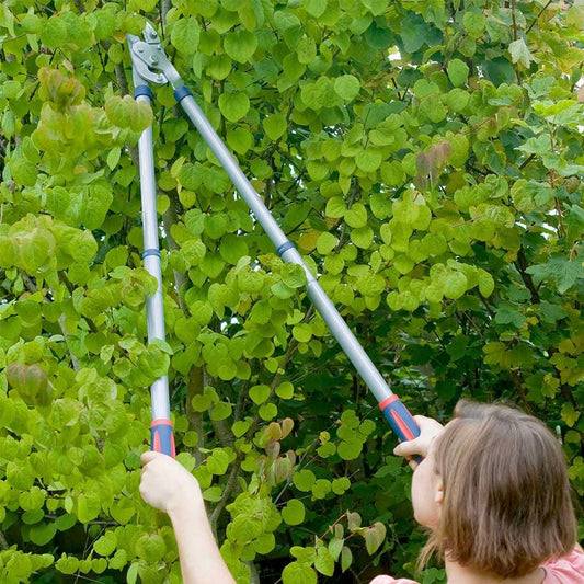 4902RSS Razorsharp Steel Telescopic Anvil Lopper