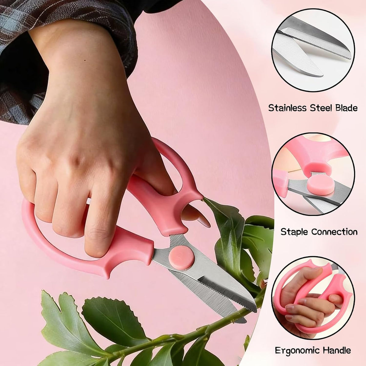 4 Pcs Stainless Steel Flower Scissors, Garden Plant Shears Floral Shears, Floral Pruning Snips for Fresh Flowers Stems/Flower Arrangement Supplies(Blue, Green, Pink, Violet)