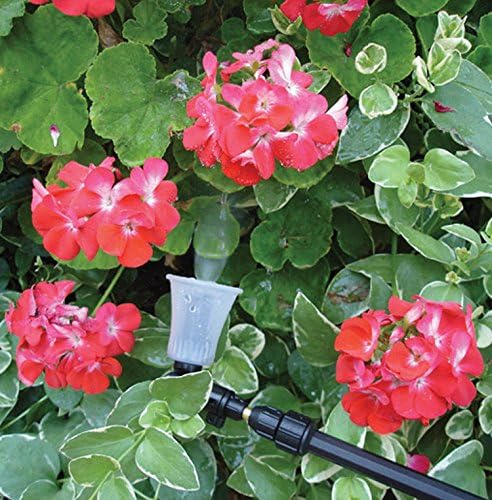 420 2-Liter One-Hand Pressure Sprayer with Adjustable Telescoping Wand