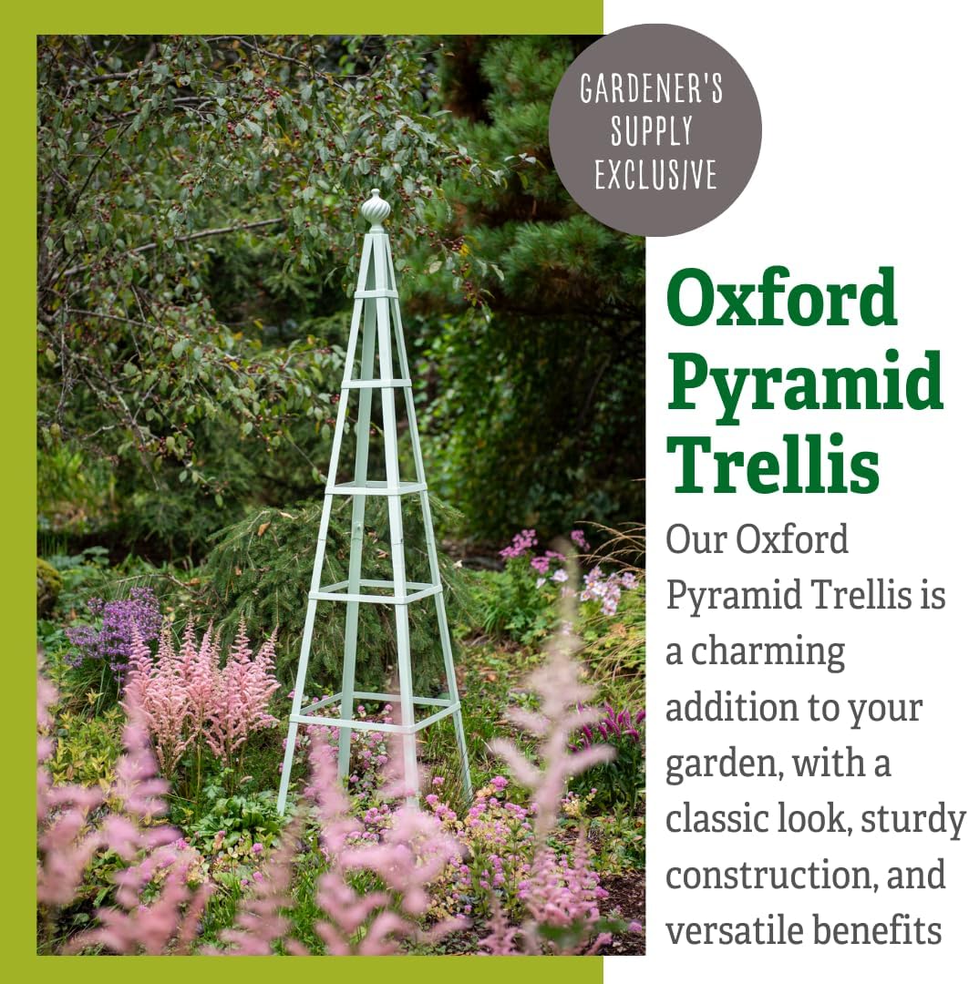 Oxford Pyramid Trellis | Decorative Outdoor Garden Statement Obelisk Plant Support for Flowering Vines | 6 Feet Tall All-Season Use Ground Stakes Included