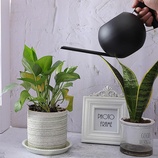 Watering Can with Long Spout and Comfortable Handle, 35 oz/1000ml Small Watering Can for Indoor Plants, Stainless Steel Garden Watering Pot for Indoor House Plants Bonsai Flower Decorative