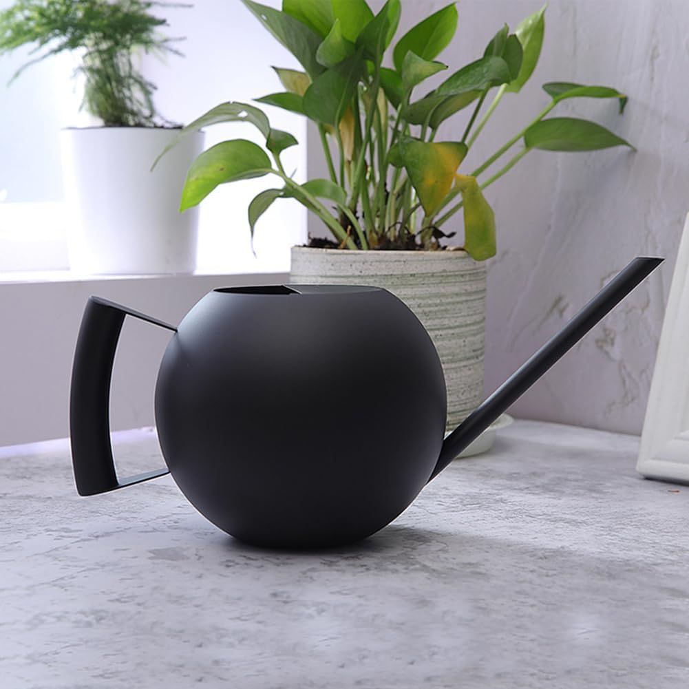 Watering Can with Long Spout and Comfortable Handle, 35 oz/1000ml Small Watering Can for Indoor Plants, Stainless Steel Garden Watering Pot for Indoor House Plants Bonsai Flower Decorative