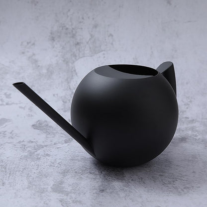 Watering Can with Long Spout and Comfortable Handle, 35 oz/1000ml Small Watering Can for Indoor Plants, Stainless Steel Garden Watering Pot for Indoor House Plants Bonsai Flower Decorative