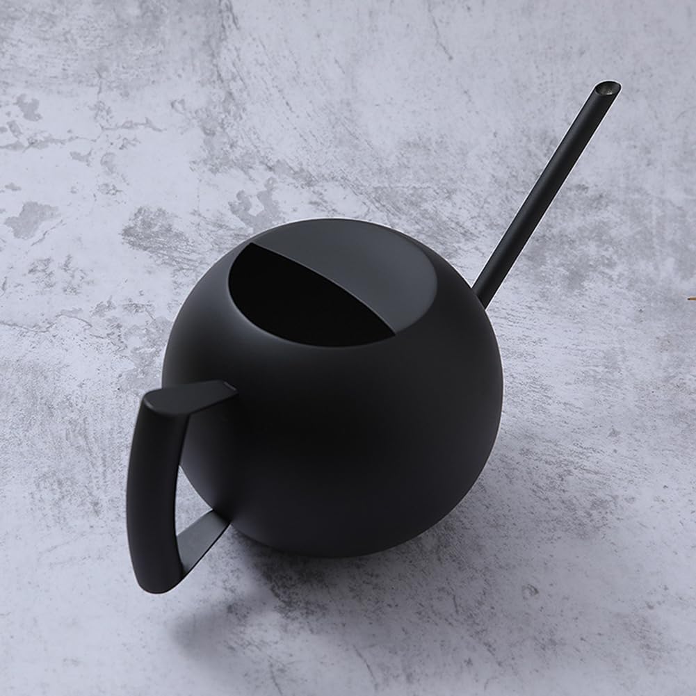 Watering Can with Long Spout and Comfortable Handle, 35 oz/1000ml Small Watering Can for Indoor Plants, Stainless Steel Garden Watering Pot for Indoor House Plants Bonsai Flower Decorative