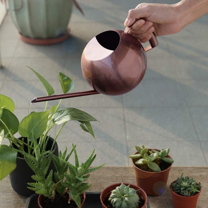 Watering Can with Long Spout and Comfortable Handle, 35 oz/1000ml Small Watering Can for Indoor Plants, Stainless Steel Garden Watering Pot for Indoor House Plants Bonsai Flower Decorative