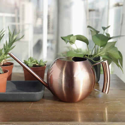 Watering Can with Long Spout and Comfortable Handle, 35 oz/1000ml Small Watering Can for Indoor Plants, Stainless Steel Garden Watering Pot for Indoor House Plants Bonsai Flower Decorative