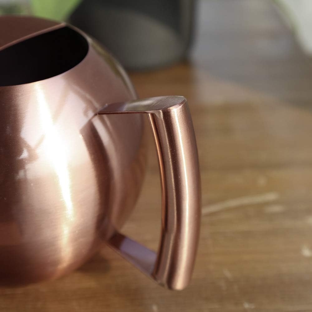 Watering Can with Long Spout and Comfortable Handle, 35 oz/1000ml Small Watering Can for Indoor Plants, Stainless Steel Garden Watering Pot for Indoor House Plants Bonsai Flower Decorative