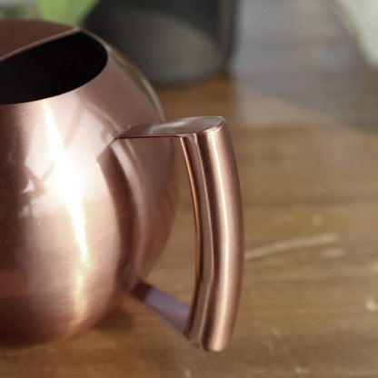 Watering Can with Long Spout and Comfortable Handle, 35 oz/1000ml Small Watering Can for Indoor Plants, Stainless Steel Garden Watering Pot for Indoor House Plants Bonsai Flower Decorative