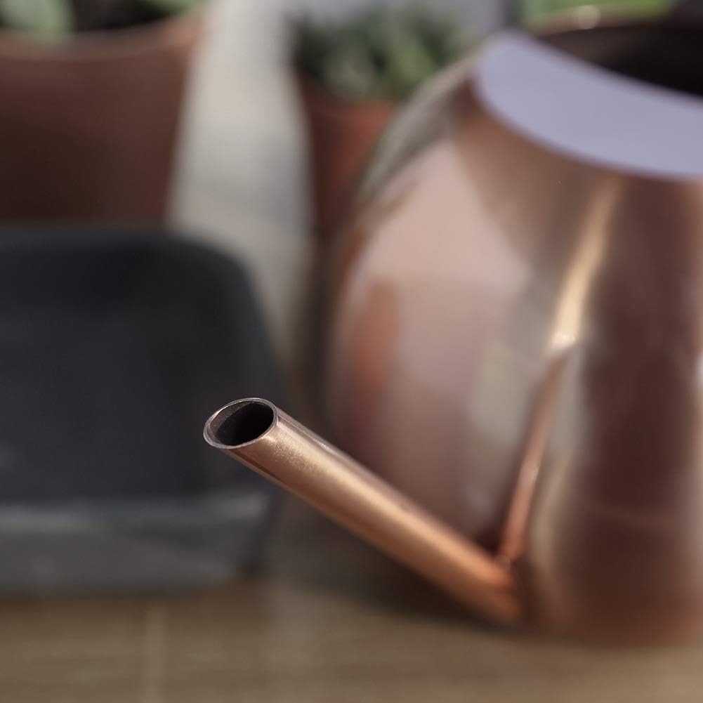 Watering Can with Long Spout and Comfortable Handle, 35 oz/1000ml Small Watering Can for Indoor Plants, Stainless Steel Garden Watering Pot for Indoor House Plants Bonsai Flower Decorative