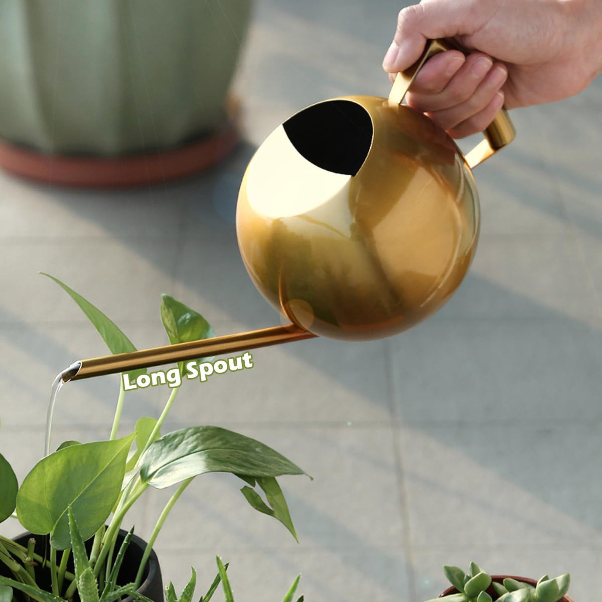 Watering Can with Long Spout and Comfortable Handle, 35 oz/1000ml Small Watering Can for Indoor Plants, Stainless Steel Garden Watering Pot for Indoor House Plants Bonsai Flower Decorative