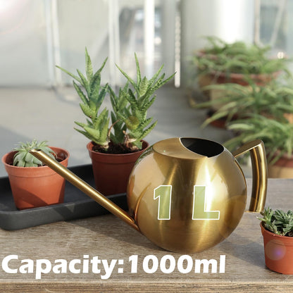 Watering Can with Long Spout and Comfortable Handle, 35 oz/1000ml Small Watering Can for Indoor Plants, Stainless Steel Garden Watering Pot for Indoor House Plants Bonsai Flower Decorative