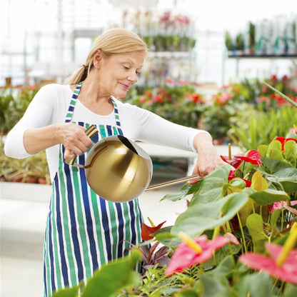 Watering Can with Long Spout and Comfortable Handle, 35 oz/1000ml Small Watering Can for Indoor Plants, Stainless Steel Garden Watering Pot for Indoor House Plants Bonsai Flower Decorative