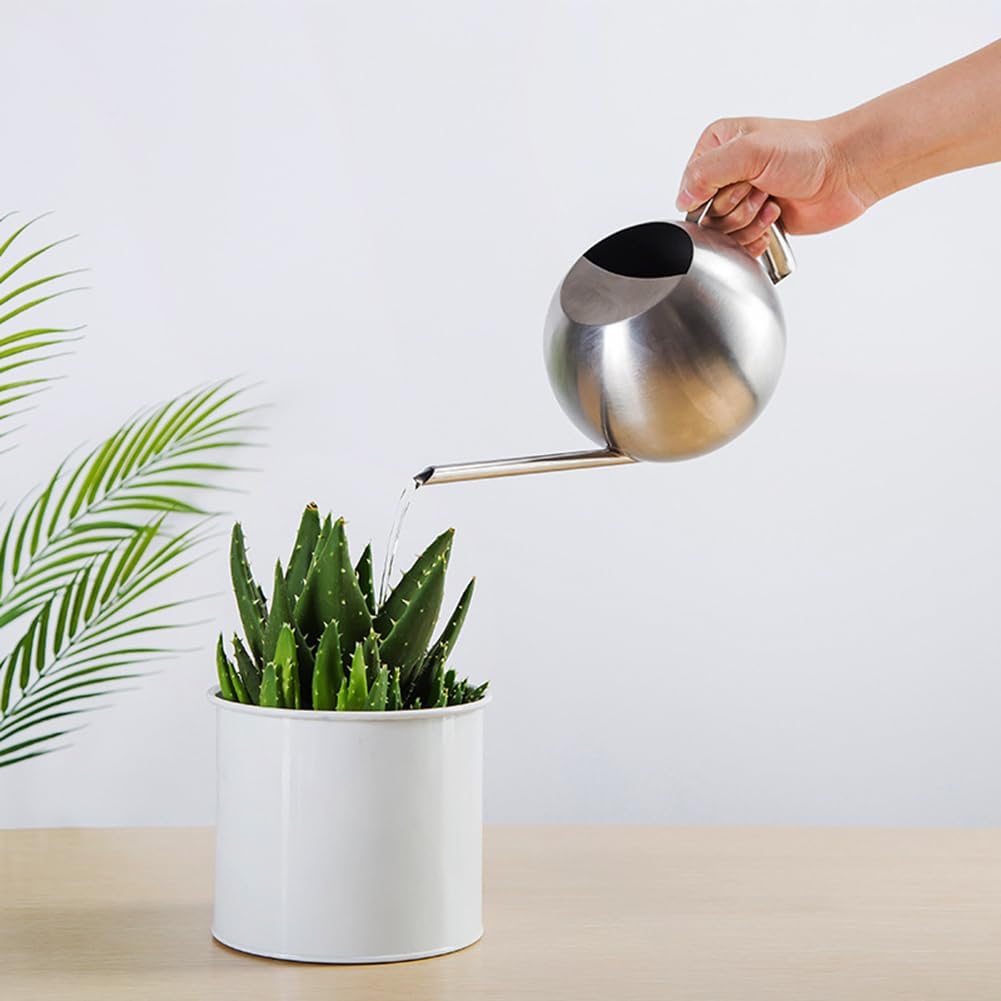 Watering Can with Long Spout and Comfortable Handle, 35 oz/1000ml Small Watering Can for Indoor Plants, Stainless Steel Garden Watering Pot for Indoor House Plants Bonsai Flower Decorative