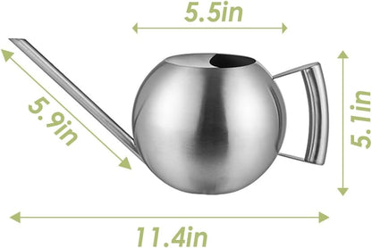 Watering Can with Long Spout and Comfortable Handle, 35 oz/1000ml Small Watering Can for Indoor Plants, Stainless Steel Garden Watering Pot for Indoor House Plants Bonsai Flower Decorative