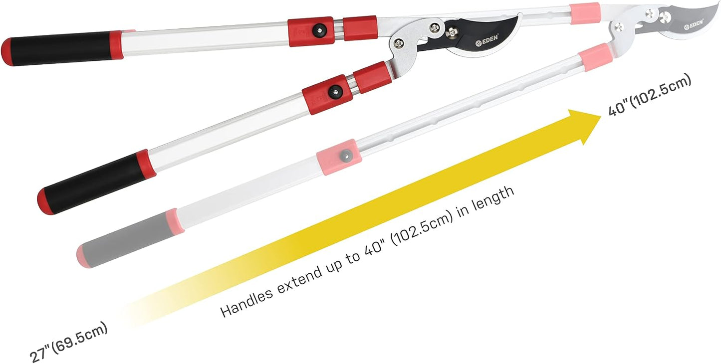 39021 Telescoping Bypass Lopper