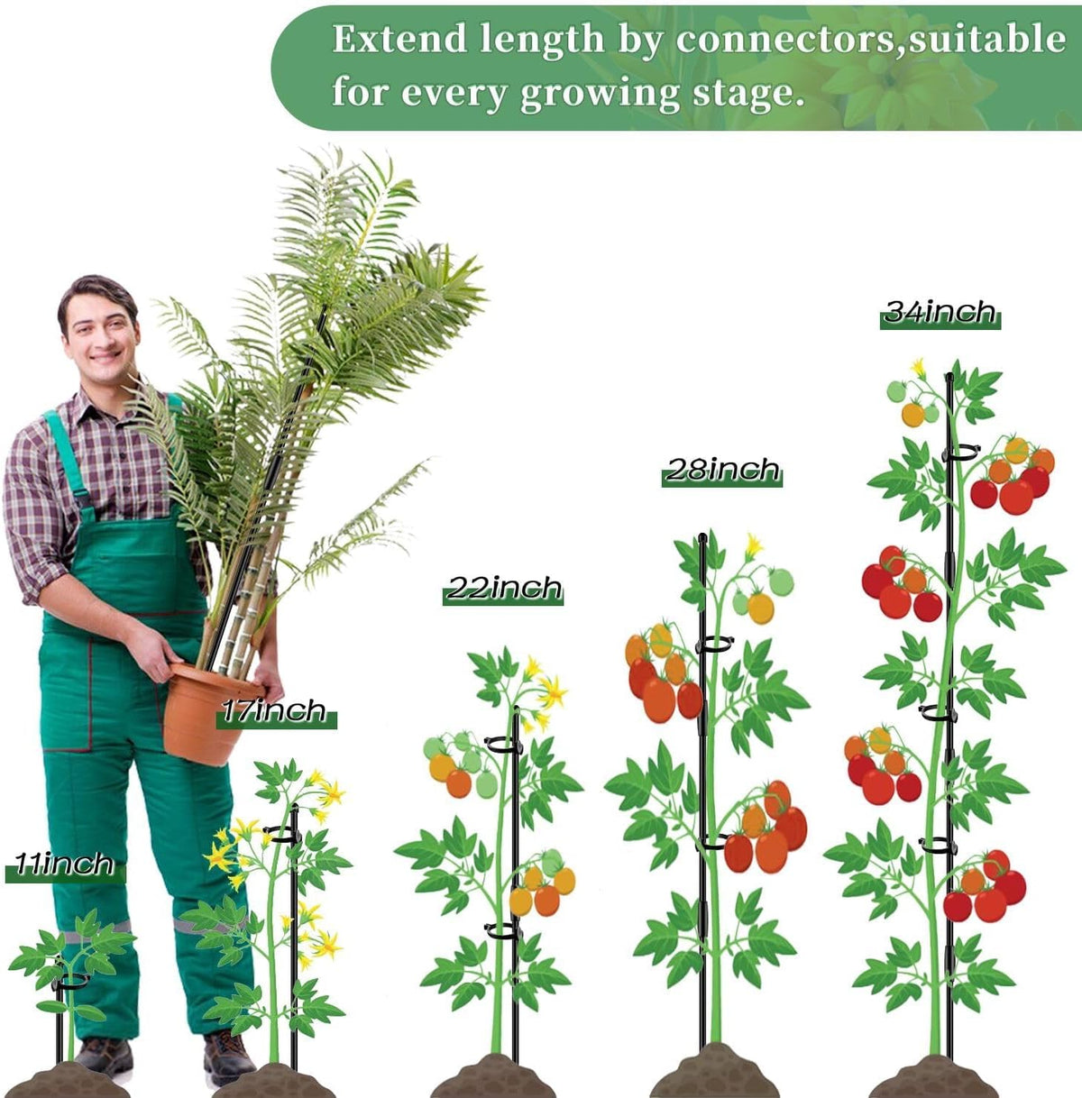 Plant Stakes 17inch &11inch Adjustable Length Plant Support Stake 16Pcs Orchid Stick with Clips for Indoor Outdoor,Garden Pole for Potted Tomato Amaryllis Vegetables Comes with 20 Ties (Green)