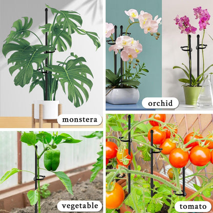 Plant Stakes 17inch &11inch Adjustable Length Plant Support Stake 16Pcs Orchid Stick with Clips for Indoor Outdoor,Garden Pole for Potted Tomato Amaryllis Vegetables Comes with 20 Ties (Green)