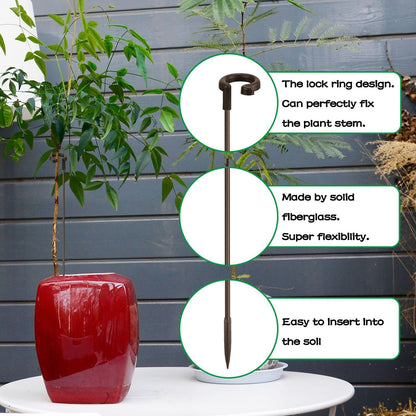 Plant Stakes 17inch &11inch Adjustable Length Plant Support Stake 16Pcs Orchid Stick with Clips for Indoor Outdoor,Garden Pole for Potted Tomato Amaryllis Vegetables Comes with 20 Ties (Green)