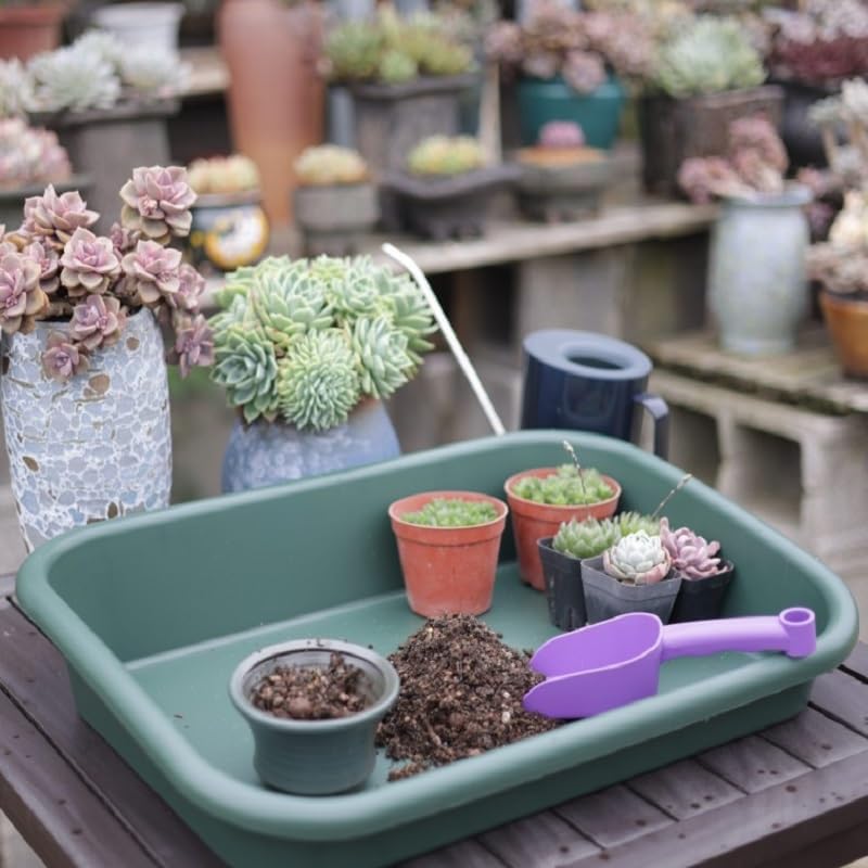 Garden Tidy Tray, Multifunctional One Piece Potting Tray for Seeding, Mixing, Growing and Pot Storage, Succulent and Cactus Soil Potting Mix Tray 23"x16.4"x4.3",Green