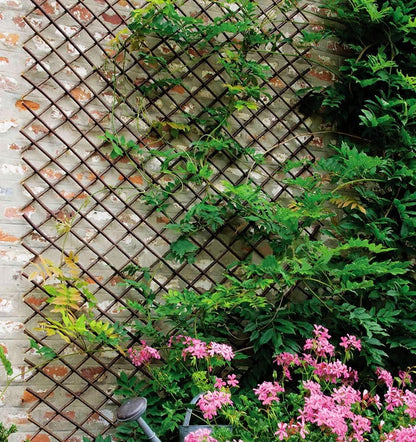 Expandable Willow Lattice Fence Panel Plant Support Garden Trellis for Climbing Vine Ivy Rose Cucumbers Clematis Outdoors Garden Yard, 36X92 Inch(1PC)